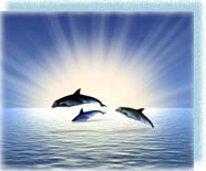 Легенды о дельфинах