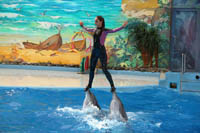 Сочинский дельфинарий «Ривьера»